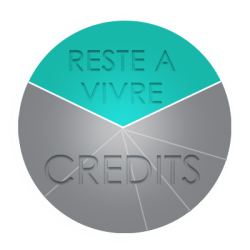 Avant le rachat de crédits : plusieurs crédits et un faible reste à vivre